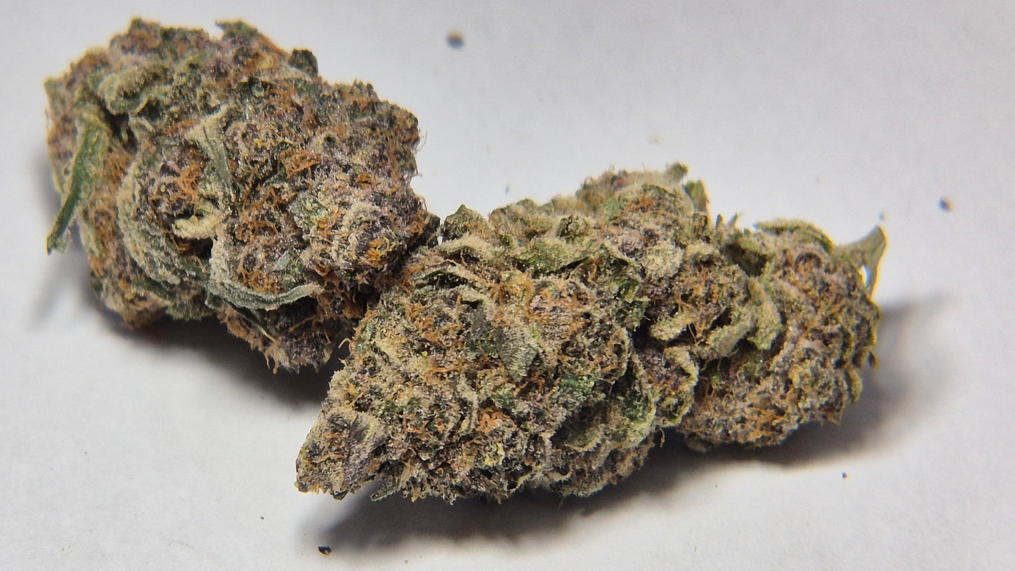 Pink Panties 3G