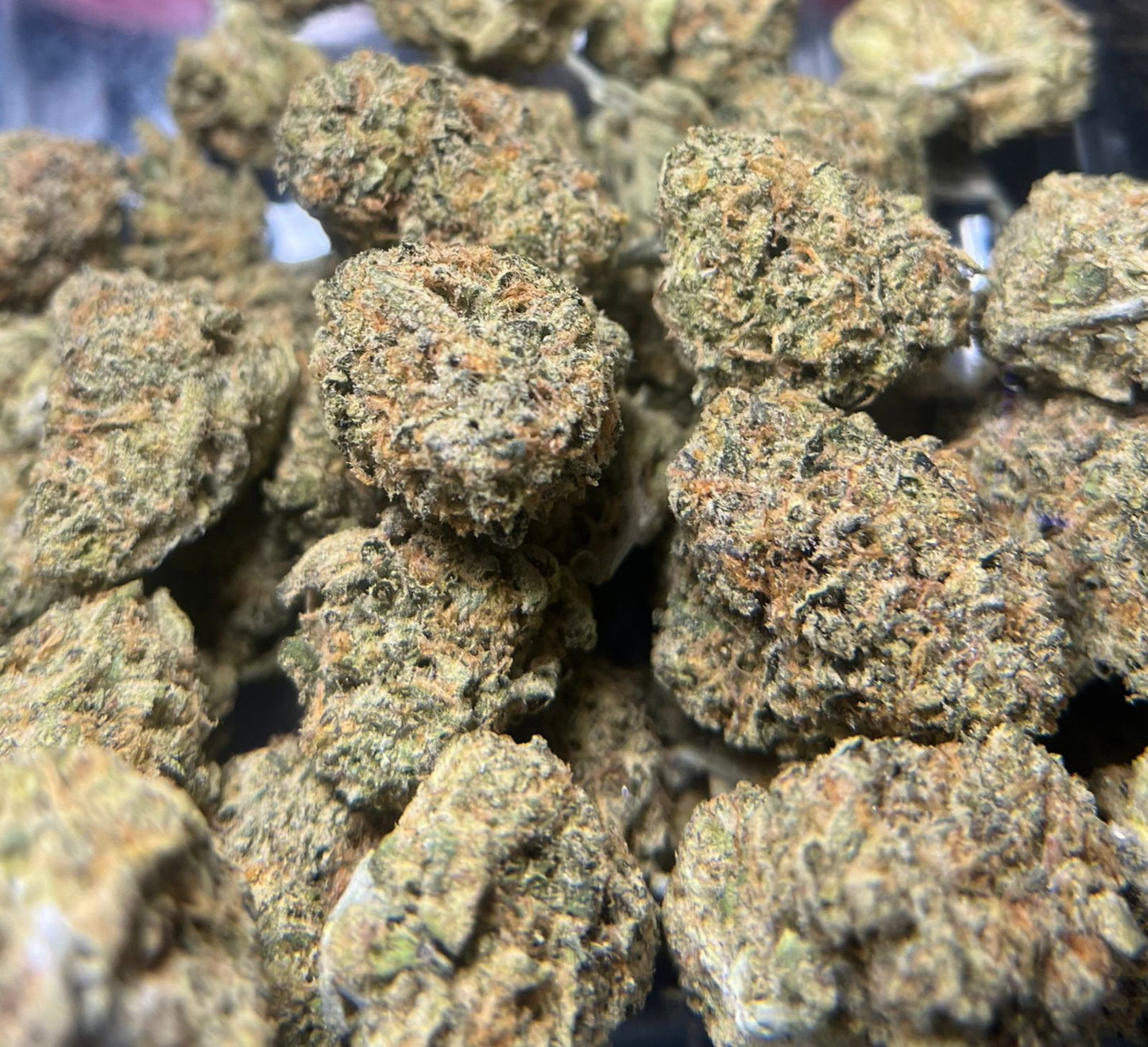 Orange Cookies 1G