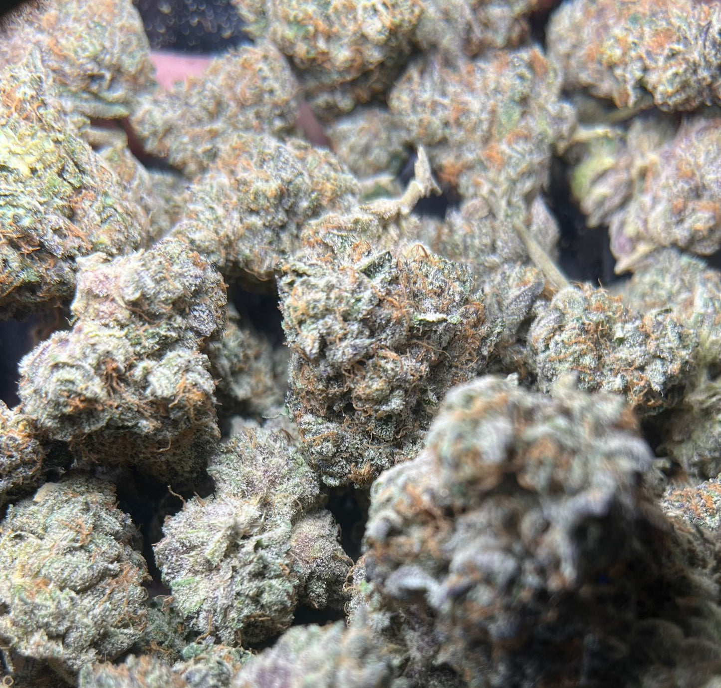 Motor Breath 1G