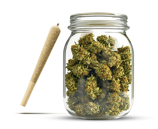 Flowers and Pre-Rolls