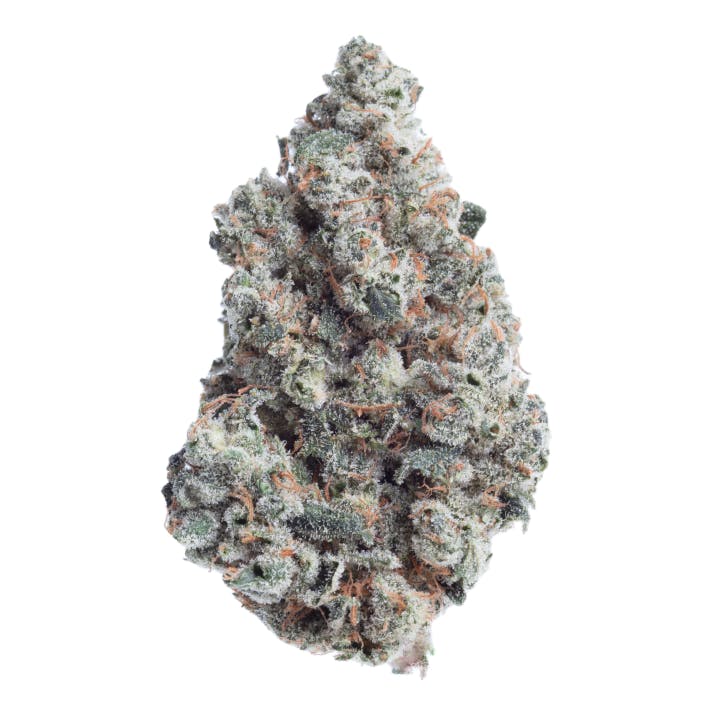 Black Market 1G