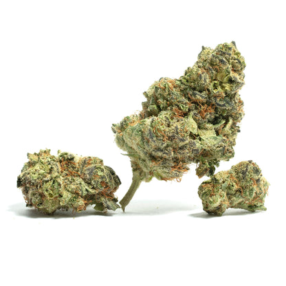 Motor Breath 1G