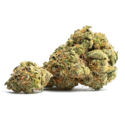 Orange Cookies 1G