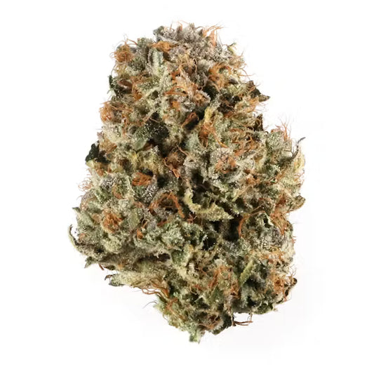 Pink Panties 1G
